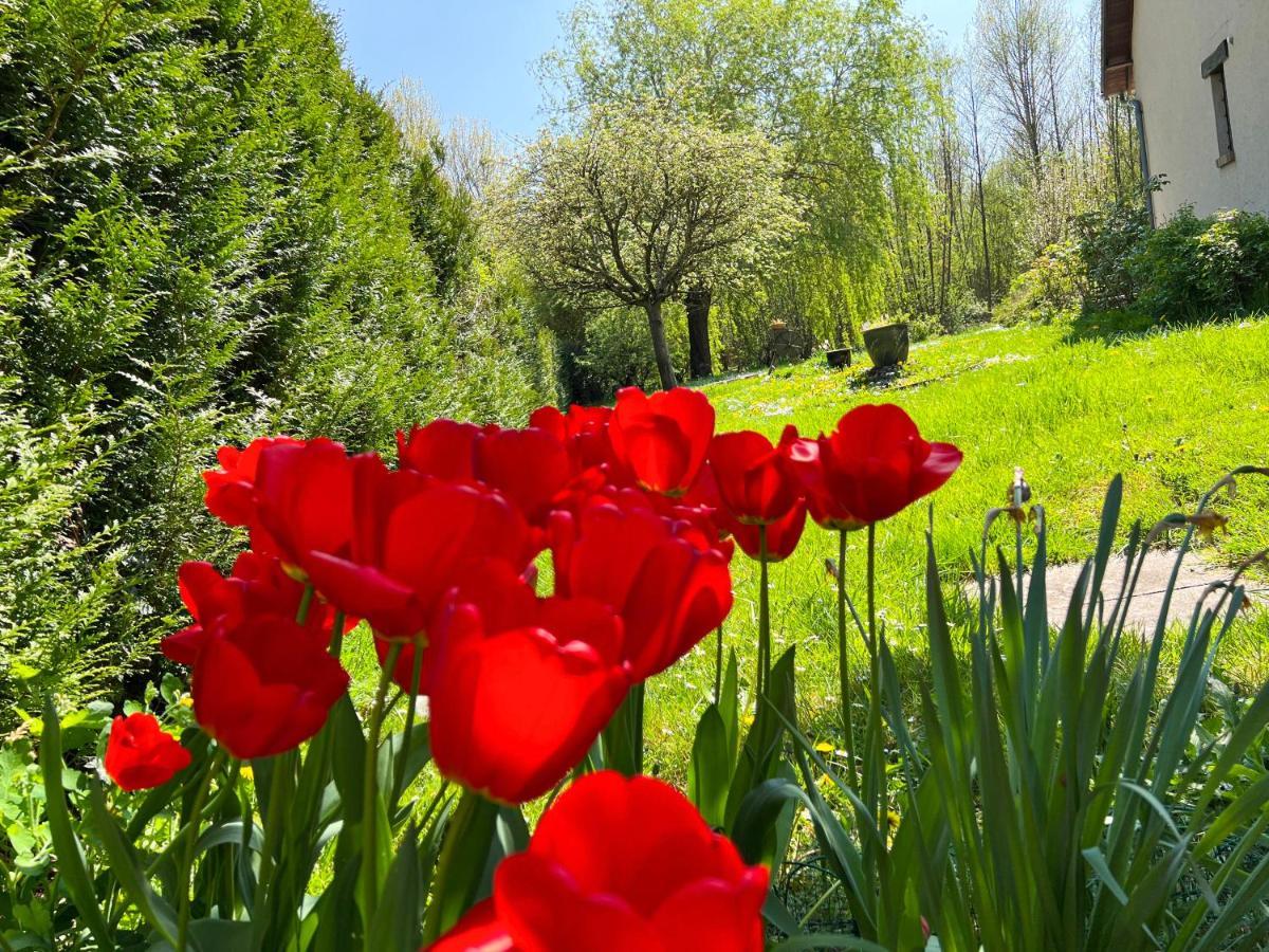 Gite De Vacances Jardin Monet Giverny Vernon Sainte-Genevieve-les-Gasny Exterior foto